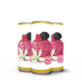 Raspberry Liquorice Vanilla Sorbet BW 6% 33cl x 20